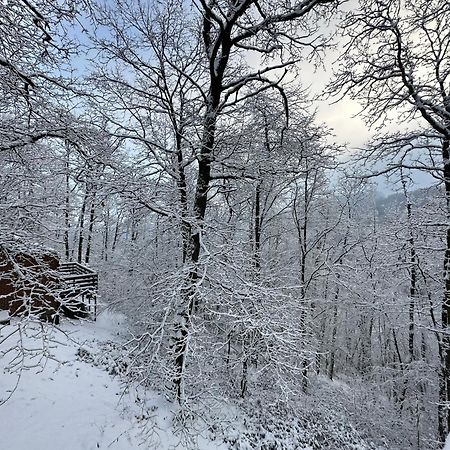 فيلا Wood House Blaimont المظهر الخارجي الصورة